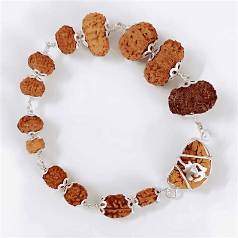 1 to 14 Mukhi Natural Rudraksha Bracelet With Silver Cap With ISO Lab ...