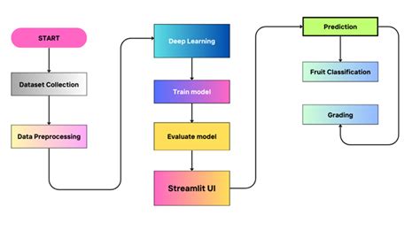 Impact of Fuzziness for Skin Lesion Classification with Transformer ...
