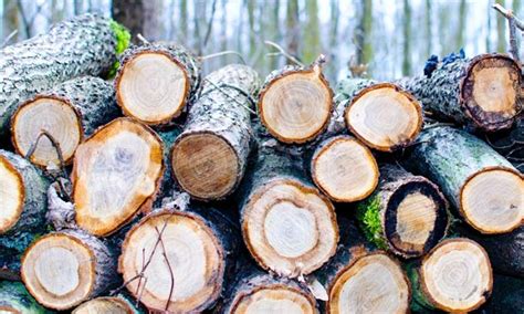 Making Pellets 的图像结果