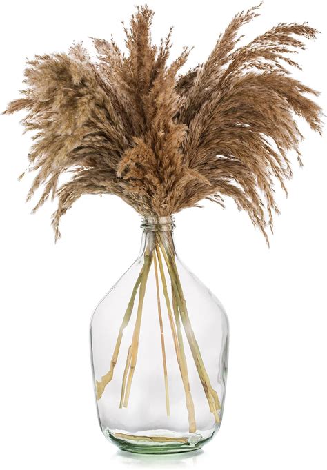 Amazon.com: 15" Large Glass Floor Vase for Pampas Grass Plants Flowers ...