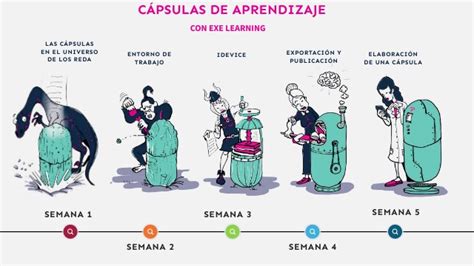 Rezultat imagine pentru Curso eXeLearning