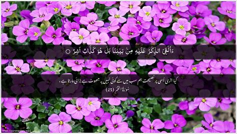 Kadhhabun Ashir Meaning (Surah Al-Qamar 54:25) - The Arrogance of ...