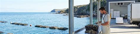 Blog | hookcatch