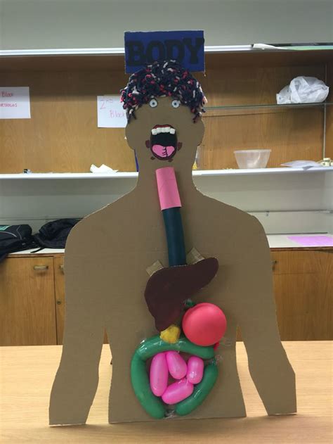 DIY Digestive System Project 的图像结果