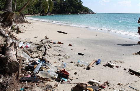 英夫妇泰国旅游被坑 迷人海岛变垃圾岛（图） (9)