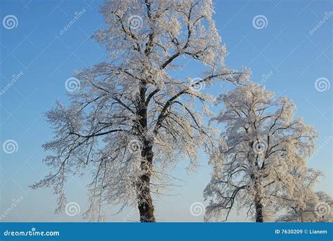 Image result for Python recursion function header