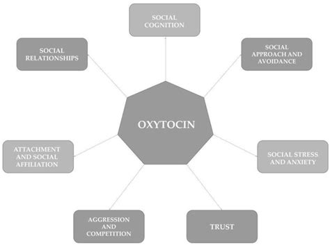 The Role of Oxytocin and Vasopressin in People with Borderline ...