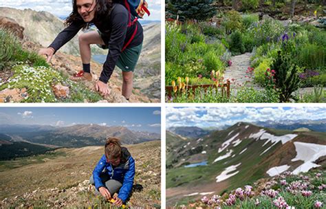 Vail’s Good Practice Story has been selected as part of the 2024 Green ...