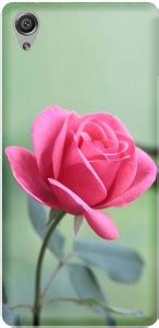 Buccino Back Cover for Sony Xperia XA Ultra Dual - Buccino : Flipkart.com