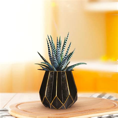 Lasaki Izzy Black Gold Ceramic Pots for Indoor Plants, Planters, Flower ...
