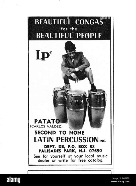 Image result for LP Percussion Instruments