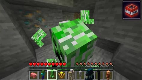 Image result for Minecraft Digestive System Mobs