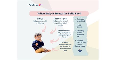 8 Ways to Introduce Variety and Texture Food to Baby’s | FamilyNes