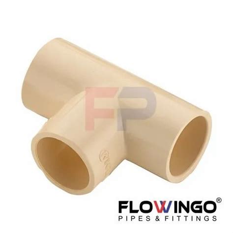 CPVC Pipe Fitting - CPVC Long Plug Manufacturer from Rajkot