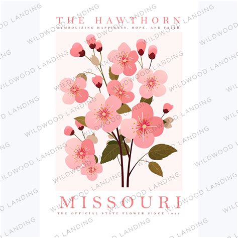 MISSOURI STATE FLOWER – Wildwood Landing LLC