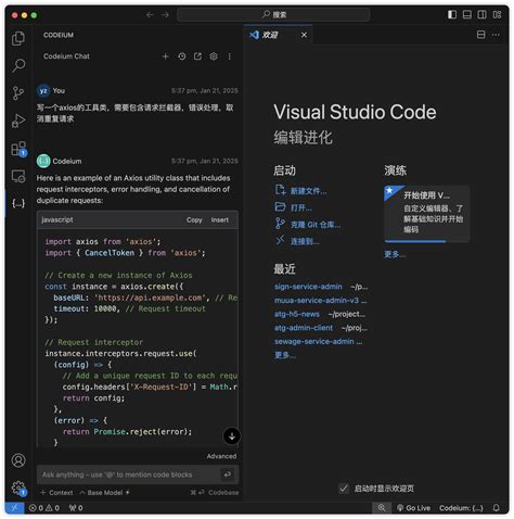 Codeium Vscode JavaScript 的图像结果