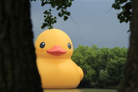 大黄鸭Rubber Duck by Florentijn Hofman - 灵感邦_ideabooom