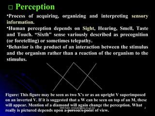 Image result for Understanding Perception
