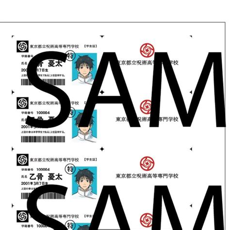 Buy Jujutsu Kaisen Costumes Online In India - Etsy India