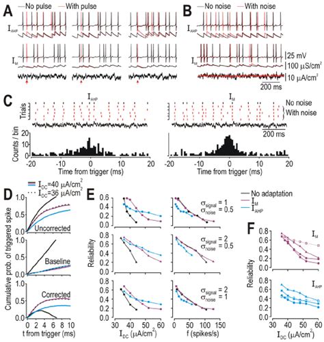 Image result for Spike Coding