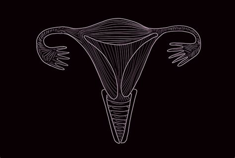 Image result for Female Reproductive System Disorders