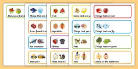 Category Sorting Activity | Twinkl EYFS