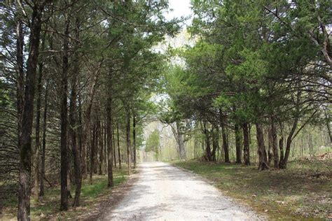 15 Cedar Dr, Bridgeport Township, MO 63363 [Lot/Land] | Homes.com
