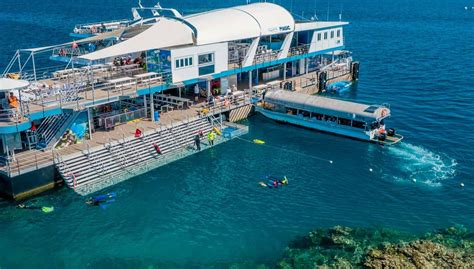 Excursión a la Gran Barrera de Coral y plataforma Reef Magic, Cairns ...