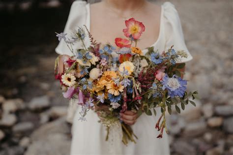 Why Flower Petals Are Not Allowed in Glacier National Park During Elopements - ecosystem of glacier national park