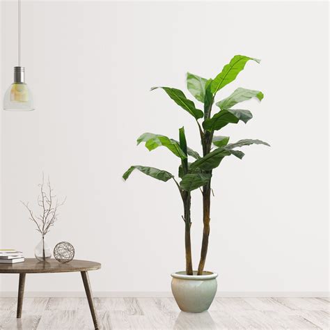 Primrue 5 Feet Tall Artificial Banana Palm Plant - Wayfair Canada