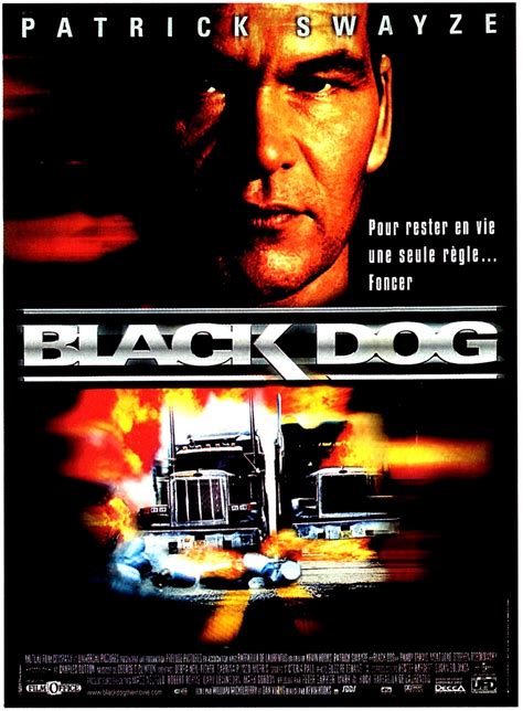 What Is Black Dog Movie About at Robin Bradley blog