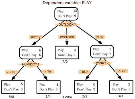 Simple Algorithm Examples 的图像结果