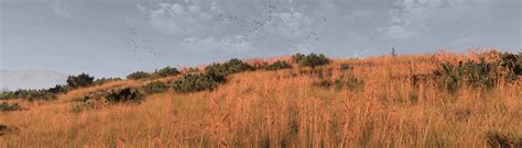 Meadows Remastered - A Cross-Gen Grass Overhaul at The Witcher 3 Nexus ...