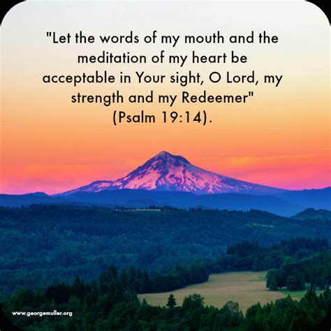 Image result for Scripture Reflections