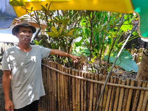 With Cleanliness As USP, Meghalaya’s Mawlynnong Village Sets An Example