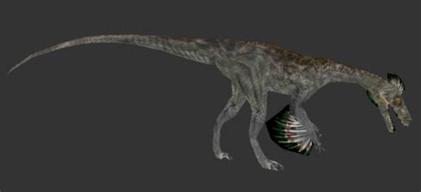 Compy Comp 的图像结果