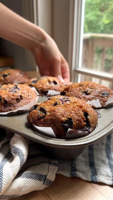 Image result for Five Basic Food Groups