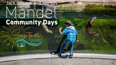 Mandel Summer Series: Meteor Appreciation Day, 1 Wade Oval Drive ...