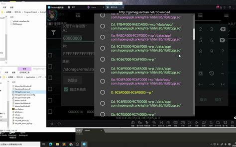 Image result for IL2CPPDumper Tutorial