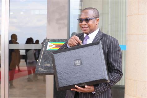 Reject budget, MPs urged - Zimbabwe Situation