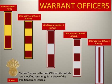 Warrant Officers (Marine Corps) Diagram | Quizlet
