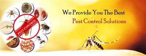 Best Pest Control Services in Delhi NCR, Pest Control Agency.- Pest Guard