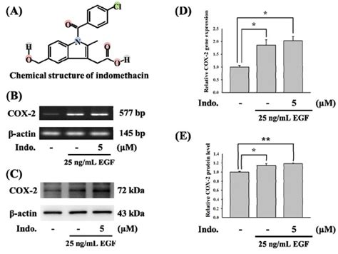 Molecules | Special Issue : Anti-Inflammatory & Anti-Allergy Agents in ...
