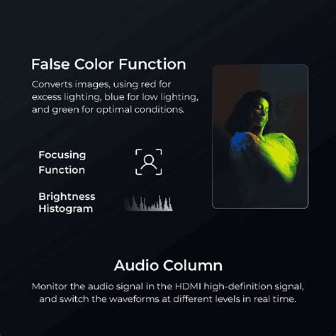 Buy VILTROX DC-550 LITE 5.5'' On Camera Monitor without Battery, 4K ...