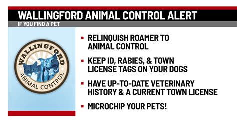 Animal control officers issue warning about scam involving pets