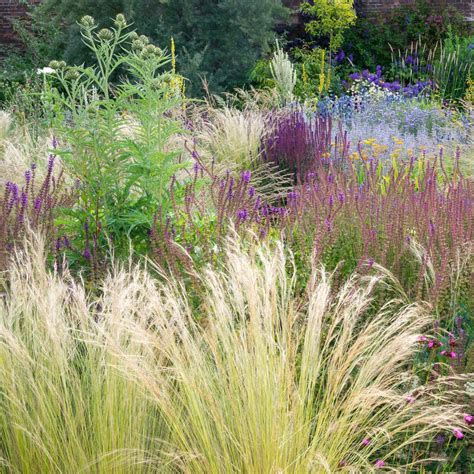 The 5 best ornamental grasses for shade – an expert guide | Ideal Home