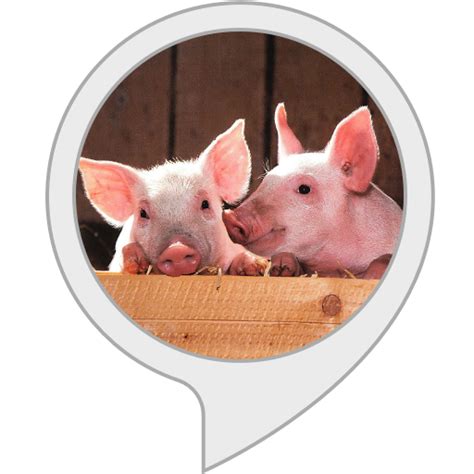 Hansel and Gretel - Interactive Story for kids : Amazon.in: Alexa Skills