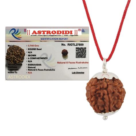 ASTRODIDI 6 Mukhi Rudraksha Pendant with Lab Certificate | Nepali Six ...