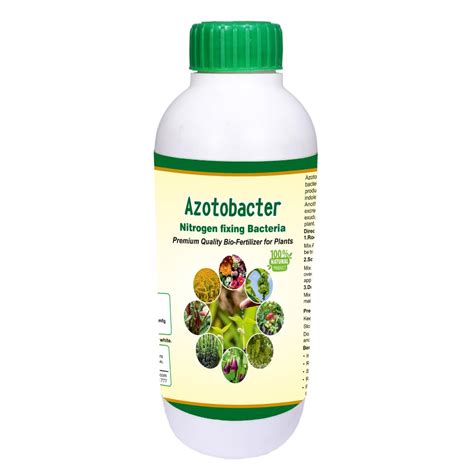 THE WET TREE Azotobacter | Nitrogen Fixing Microbes | Bio Fertilizer ...