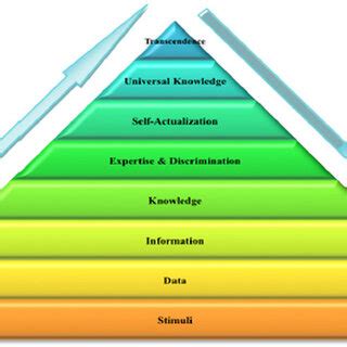 Image result for Pyramid of Knowledge